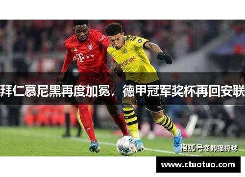 拜仁慕尼黑再度加冕，德甲冠军奖杯再回安联