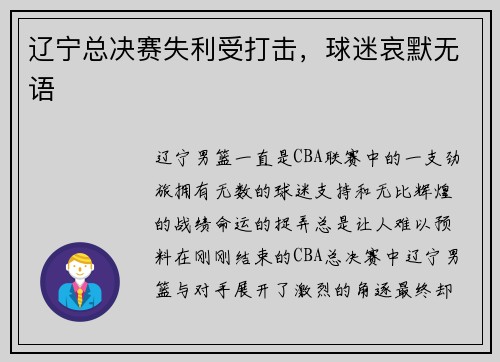 辽宁总决赛失利受打击，球迷哀默无语